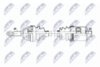 NPW-CH-162_9-WM.PNG