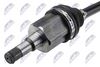 npw-fr-216_2-wm.JPG