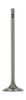 Einlassventil