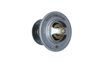 Termostat, chladivo 725214