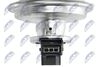 EGR-BM-011A_10-WM.JPG