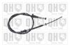 QH_BC3345.JPG