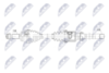 npw-pe-139_9-wm.PNG