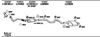 VHH23246BC_2592376.JPG