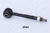 GOM-2544_1.JPG
