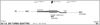 504000010.BMP