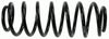 0032996994.JPG