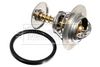 Borg & Beck thermostat kit - BBT183