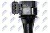 ECZ-NS-009_4-WM.JPG