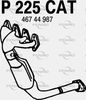 P225CAT.JPG