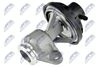 EGR-VW-014_2-WM.JPG
