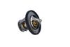 Termostat, chladivo 725174