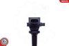 SKV_03SKV305_WM_04.JPG