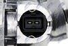 CTM-BM-005_5-WM.JPG