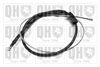QH_BC4511.JPG