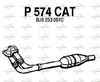 P574CAT.JPG