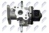EGR-TY-012_3-WM.JPG