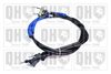 QH_BC3942.JPG