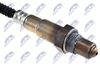 ESL-AU-011_2-WM.JPG