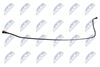 BPP-RE-011_3-WM.JPG