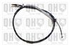QH_BC4326.JPG