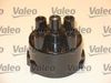 TETE HT L4035.JPG