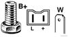 GENERATOR_0703_SP.JPG