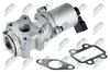 EGR-TY-007_3-WM.JPG