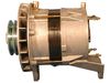 AG0031RB.JPG