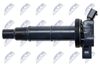 ECZ-TY-004_3-WM.JPG