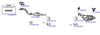 OP-EXSVG090_20260529081322.JPG