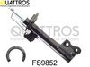 fs9852.JPG