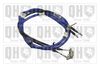 QH_BC3809.JPG