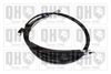 QH_BC3917.JPG