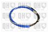 QH_BC3953.JPG