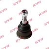 KYB-KBJ4054.JPG