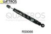rs9066.JPG