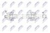NPW-BM-236_9-WM.PNG