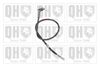 QH_BC3670.JPG