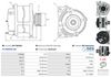 A01148(SEG)_256960.JPG
