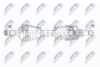 NPW-CT-115_9-WM.PNG