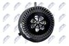 ewn-vw-007_3-wm.JPG