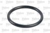 FUEL_FILTER_587737_05.JPG