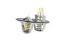 termostat SCANIA 725482