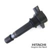 2503926.JPG