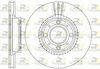 6303-10-MODEL.BMP