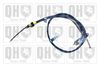 QH_BC3910.JPG