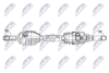 NPW-PE-113_9-WM.PNG