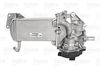 EGR_MODULE_700439_04.JPG