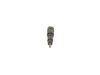 Bosch Nozzle and Holder Assembly 0432191269